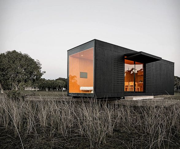 WhatsApp Image 2025-02-03 at 2.49.18 PM